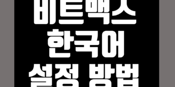 비트맥스 한국어 설정 비트멕스 한글 패치 번역 방법