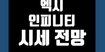 엑시 인피니티 코인 가격 전망 및 시세 호재