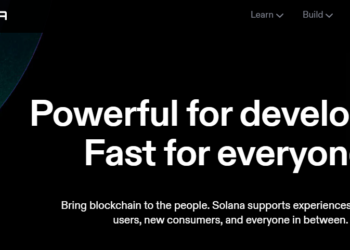 캐시우드 솔라나는 블록체인 생태계 주요 인프라 플레이어