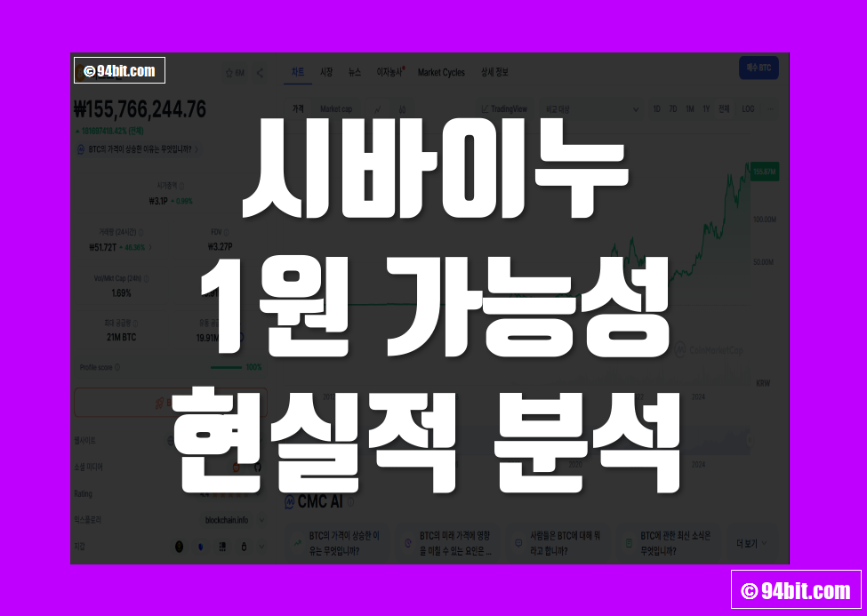 시바이누 코인 1원 가능성 전망 그리고 현실적 시나리오 분석