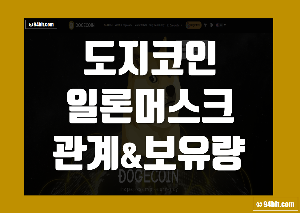 도지코인(DOGE) 일론머스크 관계 및 보유량 총정리